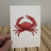 Ansichtkaart Krab bergen op zoom